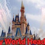 Disney World Headaches