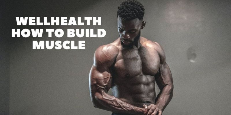 wellhealth how to build muscle tag